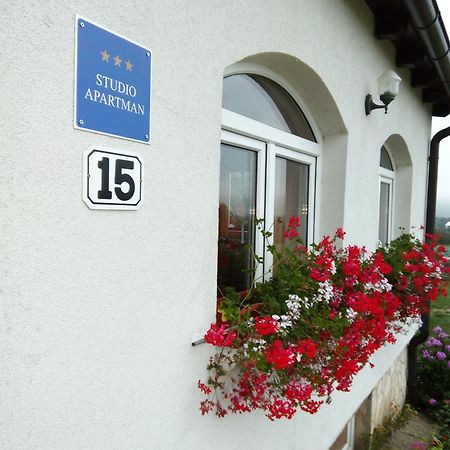 Apartments Zegarac House Korenica Luaran gambar