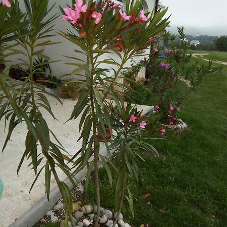 Apartments Zegarac House Korenica Luaran gambar