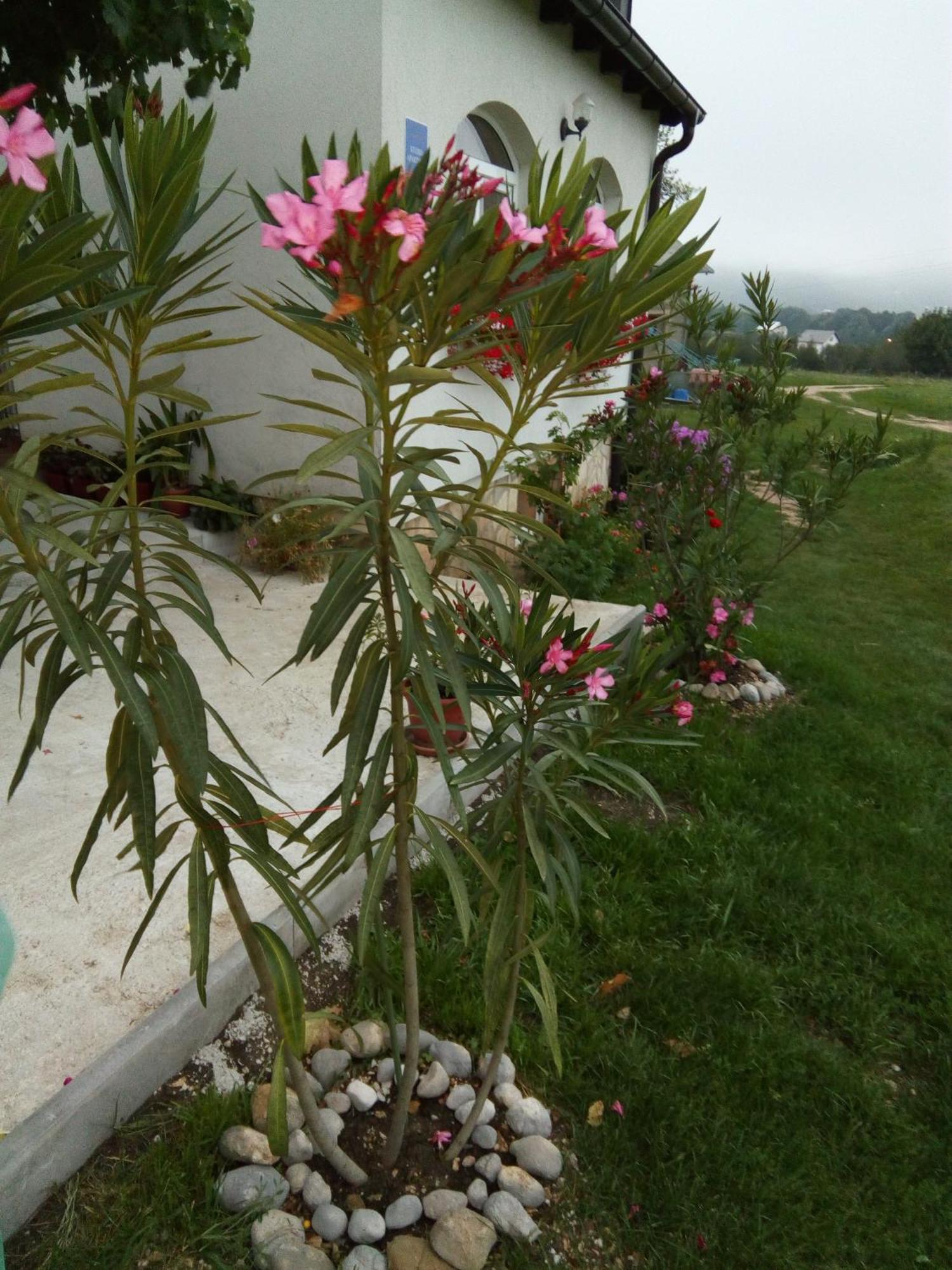 Apartments Zegarac House Korenica Luaran gambar